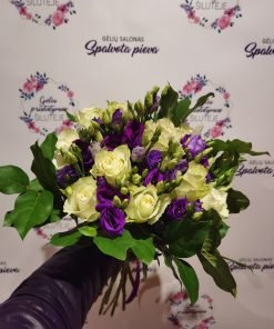 Puokštė "Lagūna"