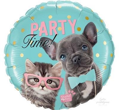 apvalus suo ir katinas