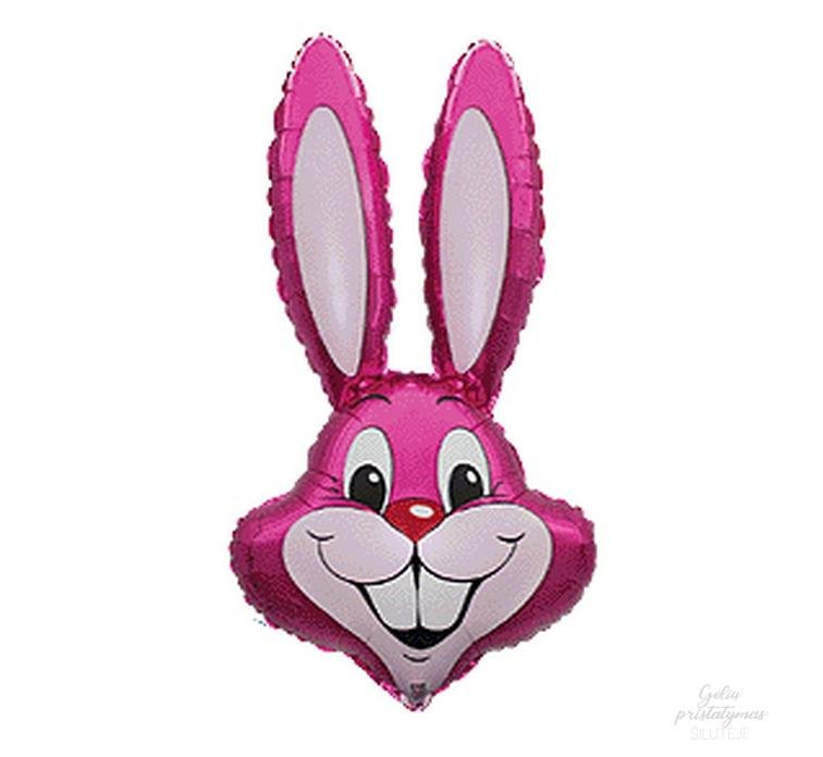 figura triusis ruzavas